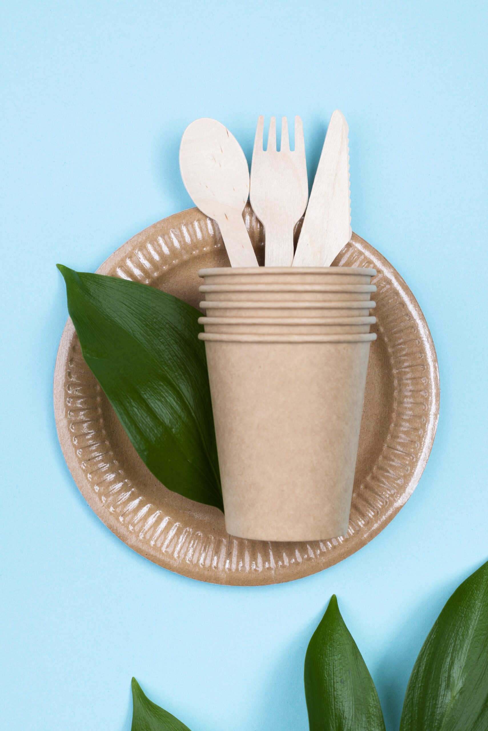 disposable-plates-with-cups-cutlery-min