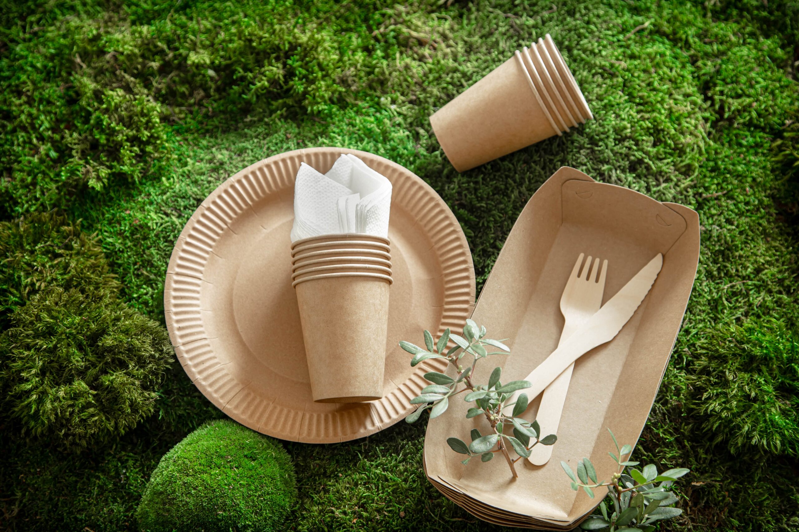 Eco frdly