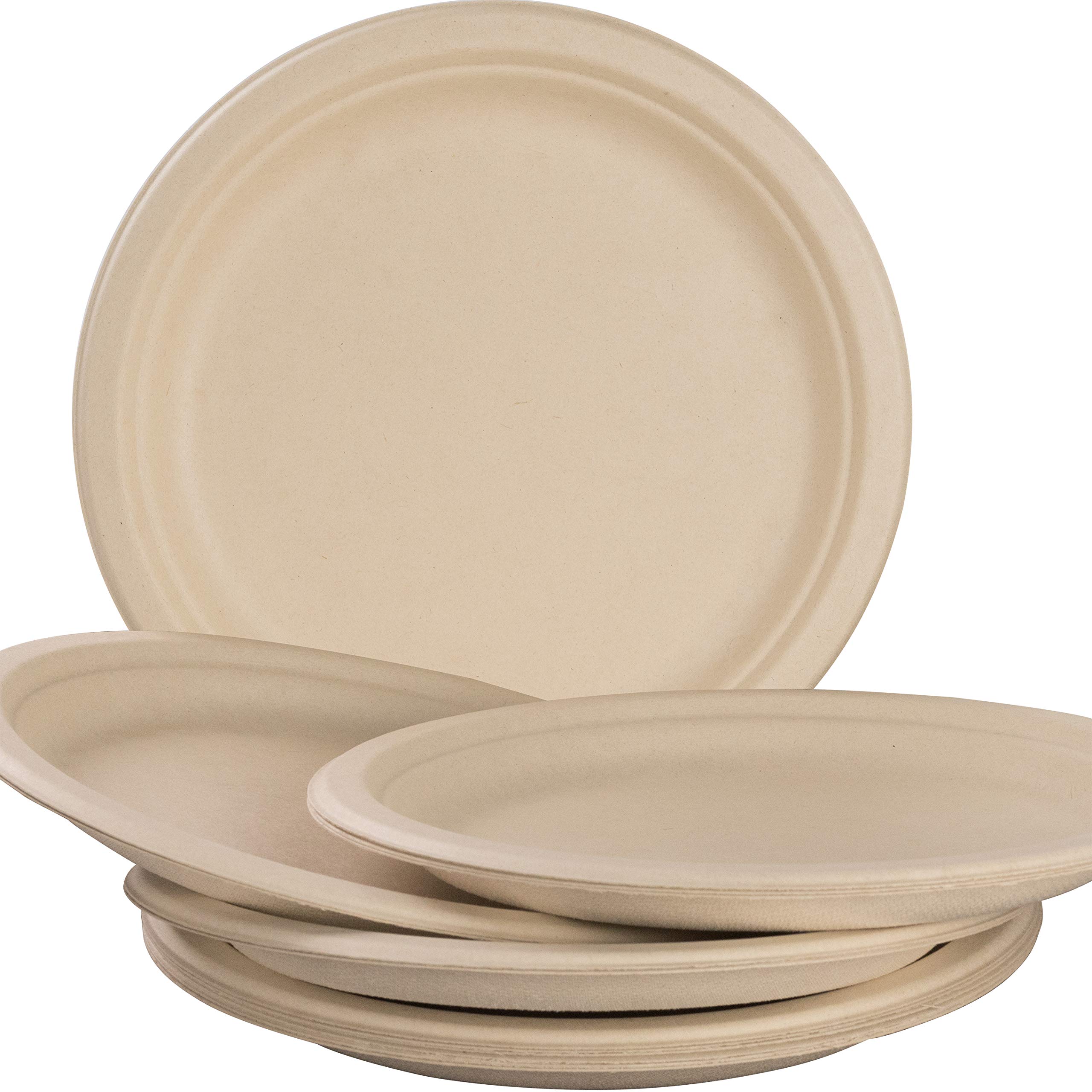 Biodegradable Disposable plates