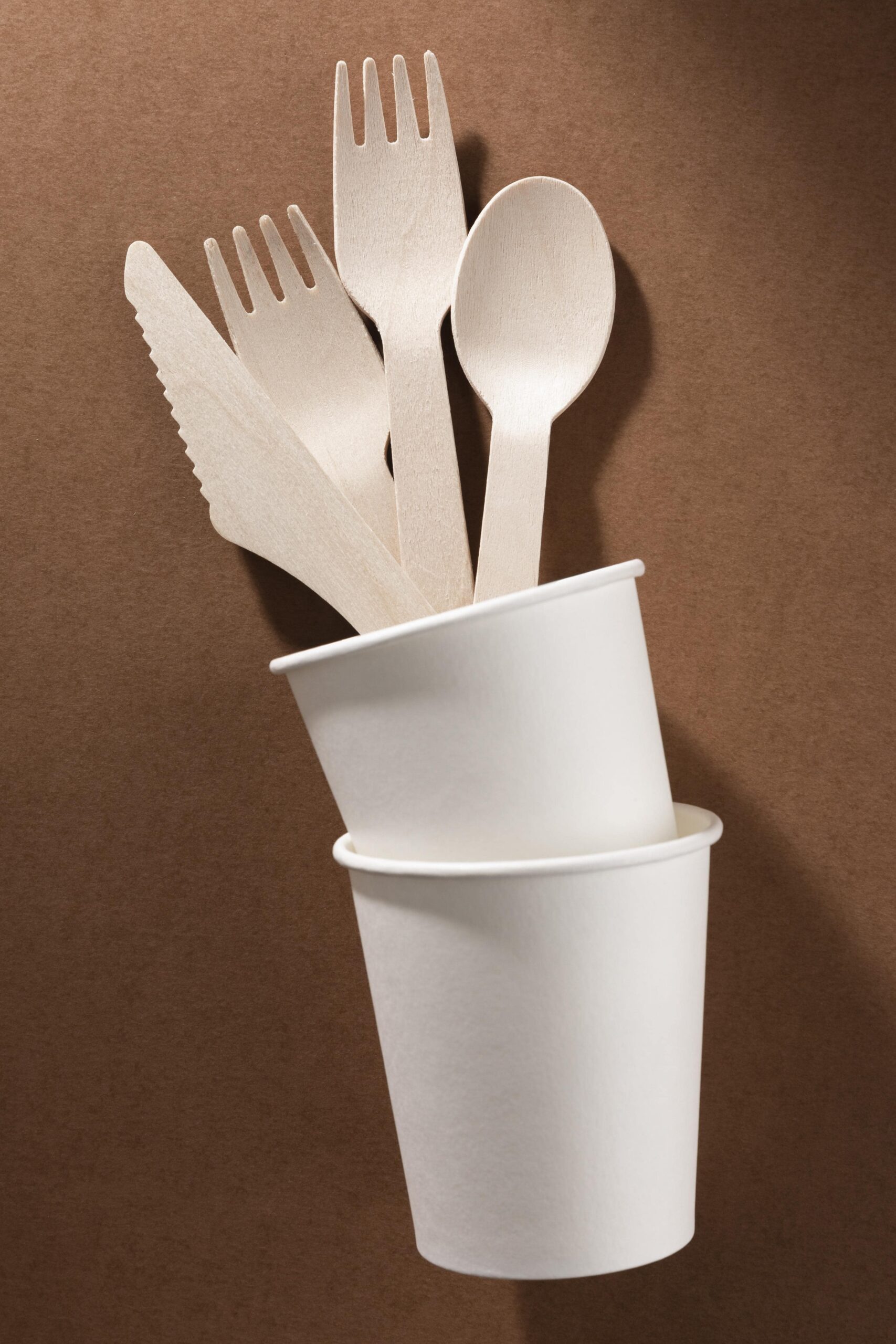 set-bio-cardboard-cutlery-flat-lay-min